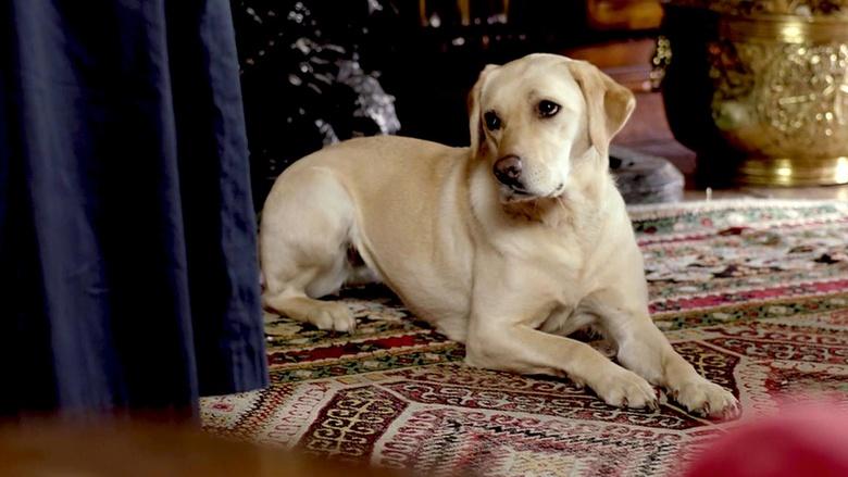 Downton Abbey Image