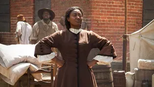 Season 2: Meet the New Characters
