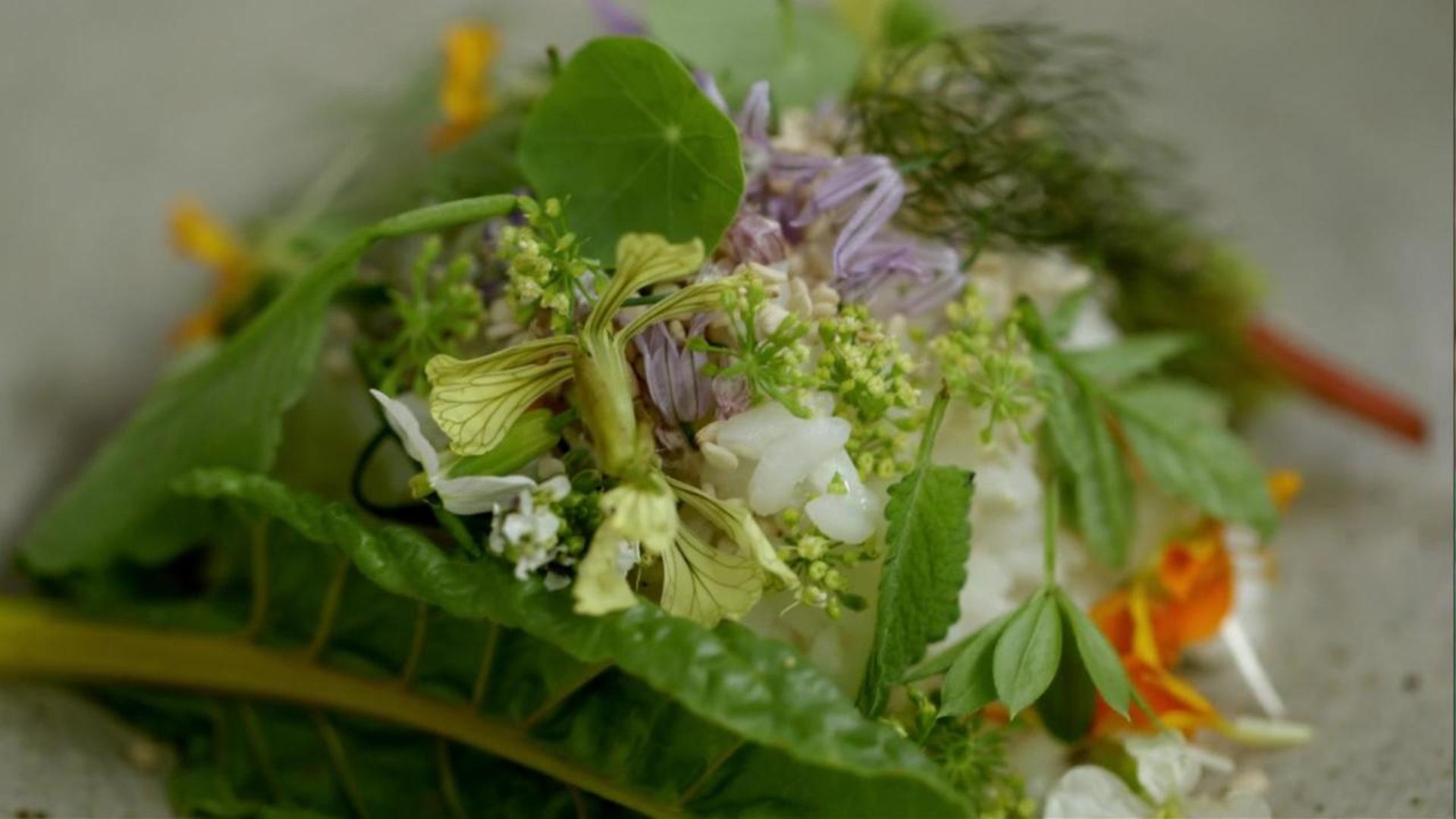 Rice | The Mind of a Chef | NJ PBS