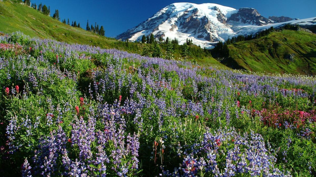 The Empire Of Grandeur (1915-1919) | The National Parks | THIRTEEN ...