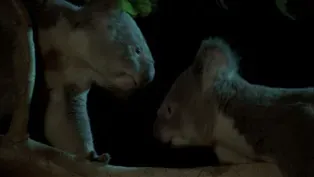 A Battle for Territory