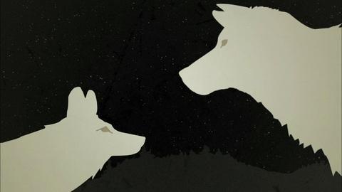 coywolf pbs nature meet history wolf animated gray field guide clip wnet
