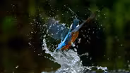 Trailer: Ireland's Wild River