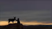Trailer: Touching the Wild