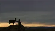 Trailer: Touching the Wild