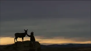Trailer: Touching the Wild