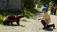 Cason and the Wolverine 