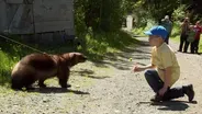 Cason and the Wolverine 