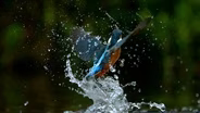 Ireland's Wild River