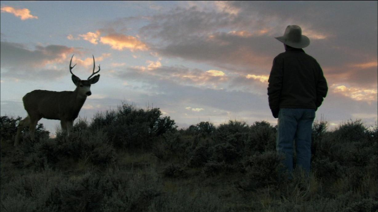 Nature:My Life as a Turkey