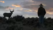First Encounter With a Young Buck