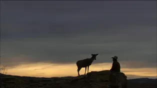 True Acceptance From The Herd