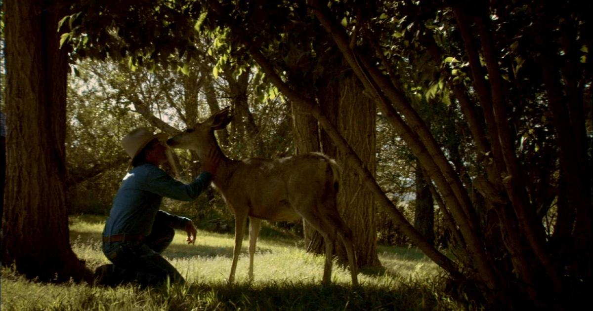 Nature | Mule Deer Family Rituals | Season 32 | Episode 15