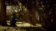 Mule Deer Family Rituals