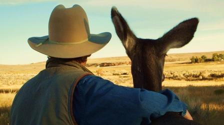 Video thumbnail: Nature Touching the Wild