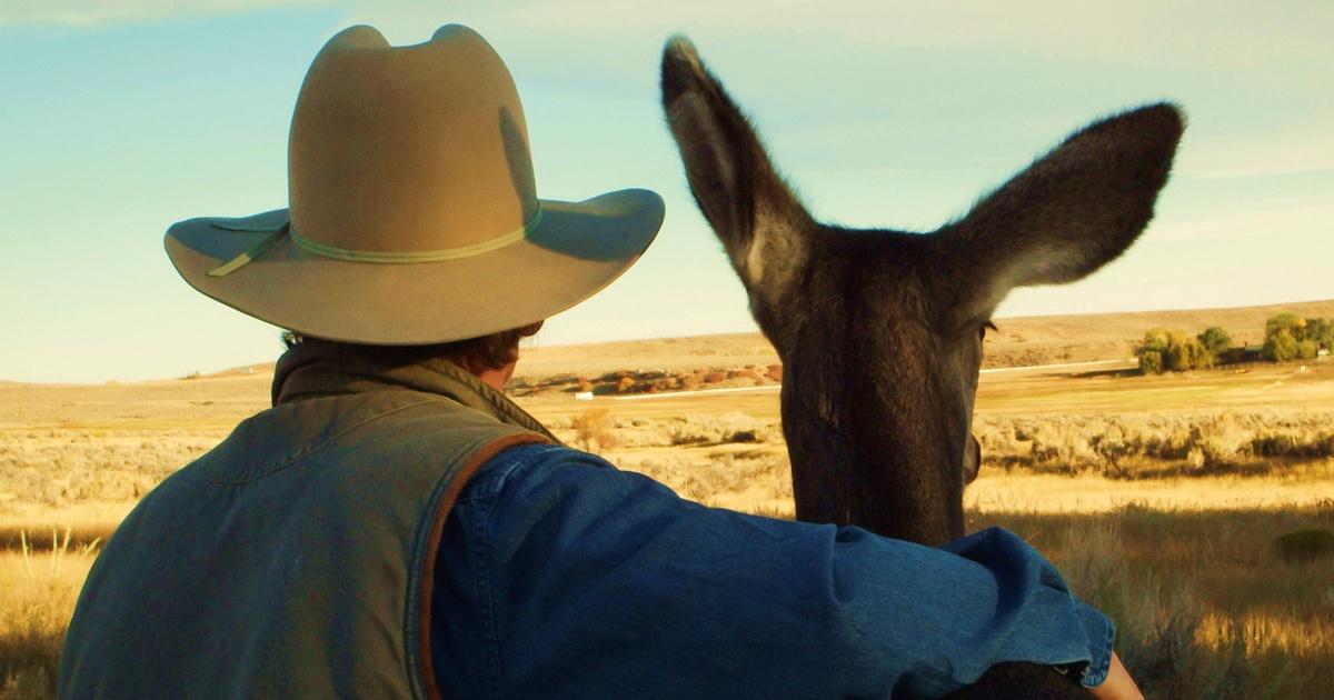 Nature | Touching the Wild | Season 32 | Episode 15 | PBS NC