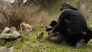 Behind The Scenes: Making of Snow Monkeys