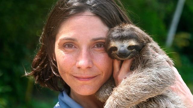 Nature | A Sloth Named Velcro | Preview