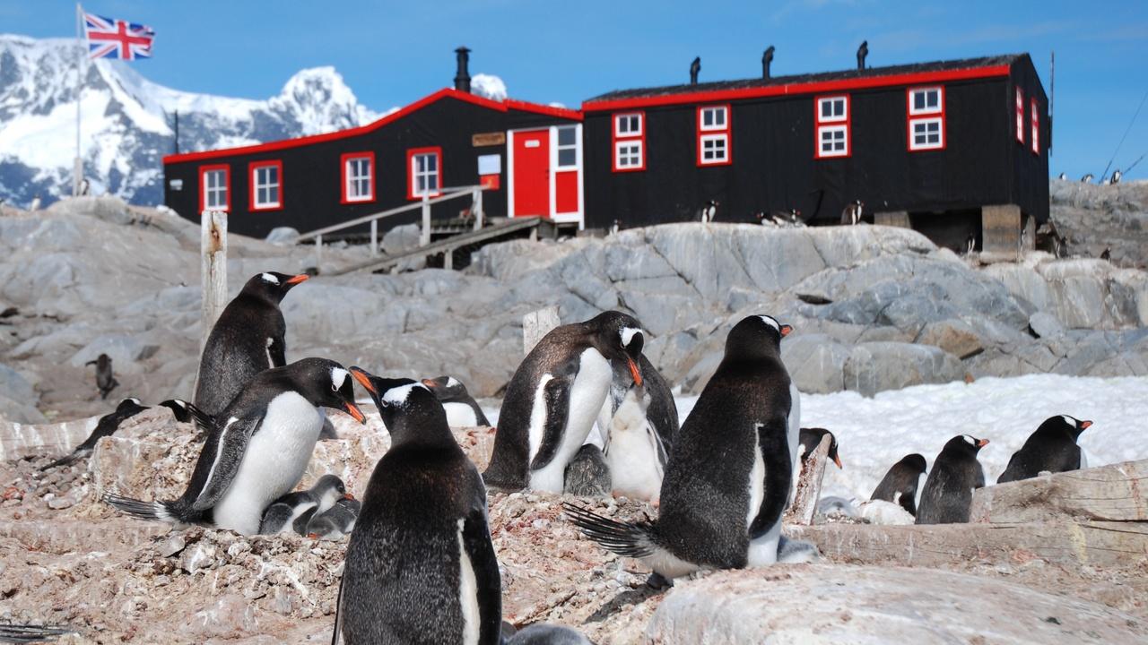 Nature | Penguin Post Office - Preview