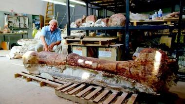 nature raising the dinosaur giant