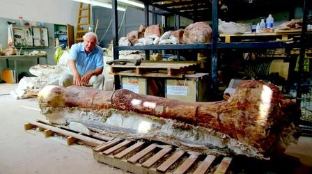 Did This Thighbone Belong to the World's Largest Dinosaur?