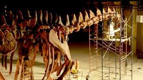 Video thumbnail: Nature Giant Dinosaur Skeleton Assembled in 60 Seconds!