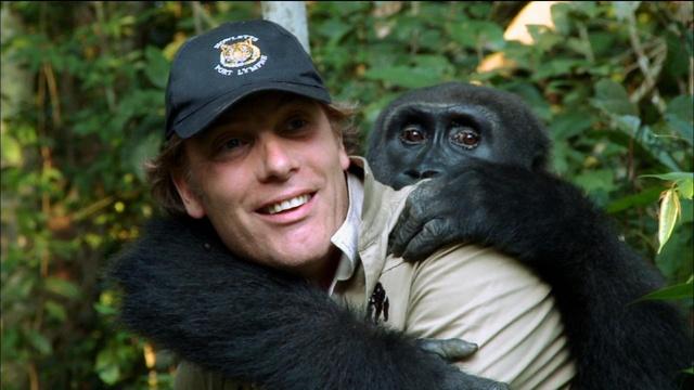 Nature | Animal Reunions | Preview