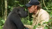 Gorilla Reunites with Old Friend 