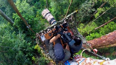 The Making of 'The Last Orangutan Eden' 