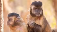 Nature's Perfect Partners | Preview 