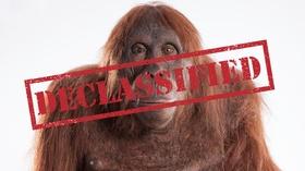 Video thumbnail: Nature The Origins of 'Spy in the Wild' 