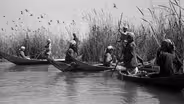 Braving Iraq