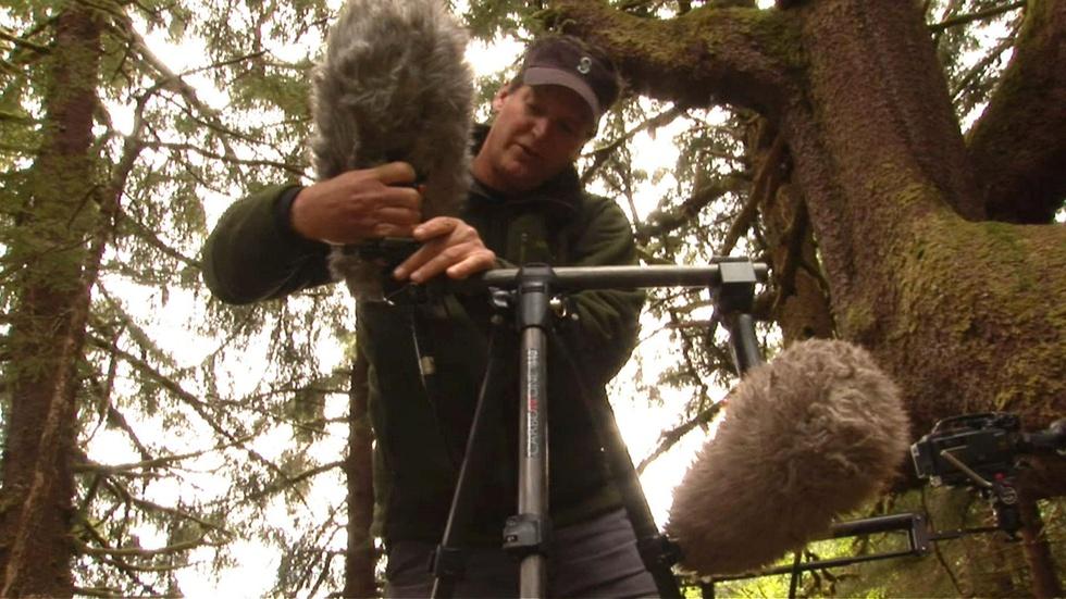 S30 Ep6: Sound in the Field image