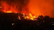 Survivors of the Firestorm