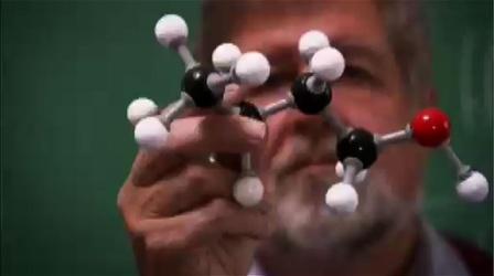 Video thumbnail: Nature Skunk Spray Chemistry