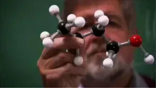 Skunk Spray Chemistry