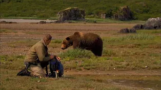 The Manhattan of Bear Country