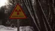 Radioactive Wolves