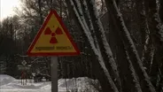 Radioactive Wolves