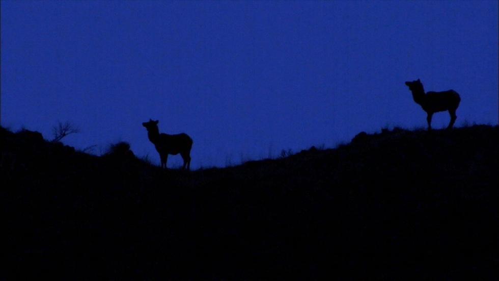 S30 Ep11: This Unexplained Companion image