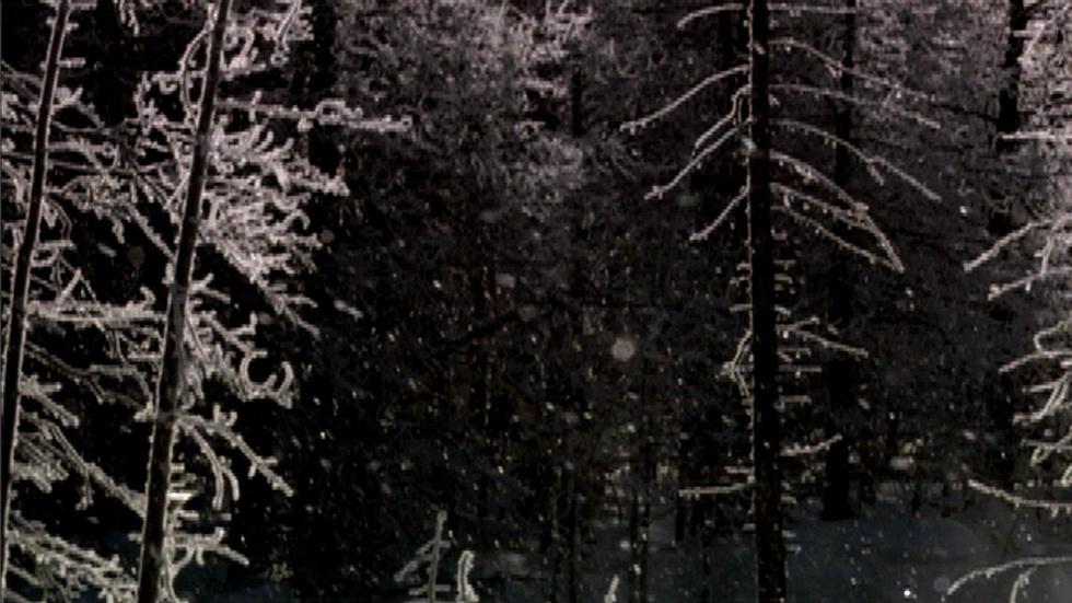 S25 Ep3: Short | Inside the Yellowstone Lodge | Christmas in image