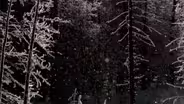 Short | Inside the Yellowstone Lodge | Christmas in...
