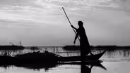 Remembering the Marshes