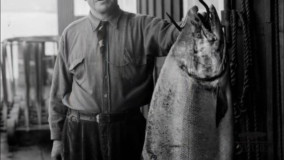 Education | Humans and Salmon image