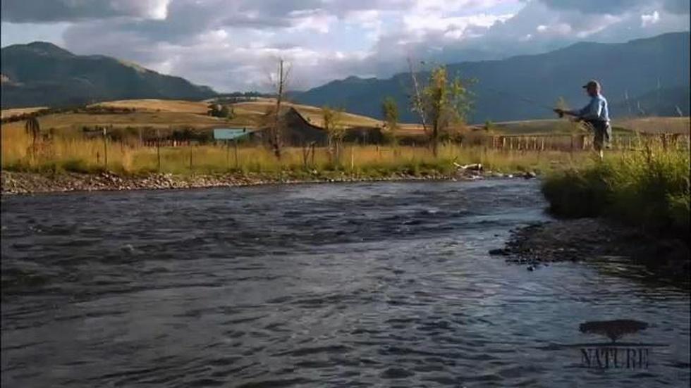 Education | Restoring Streams image