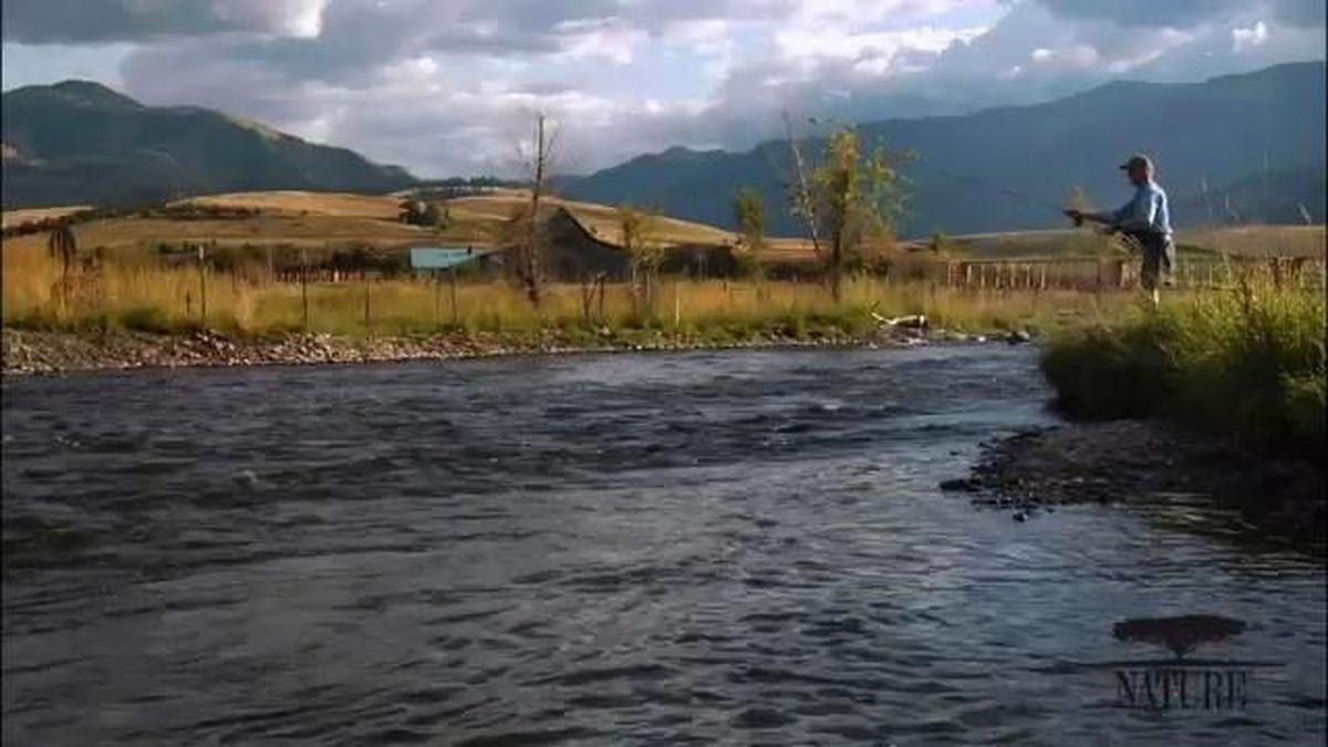 Education | Restoring Streams | Nature | NJ PBS