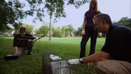 Observing the Secret Lives of Raccoons