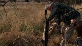 Video thumbnail: Nature Challenges for Urban Kangaroos