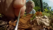 Attenborough's Life Stories: Part 1 Preview