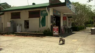 Education | The Wild Suburban Koala